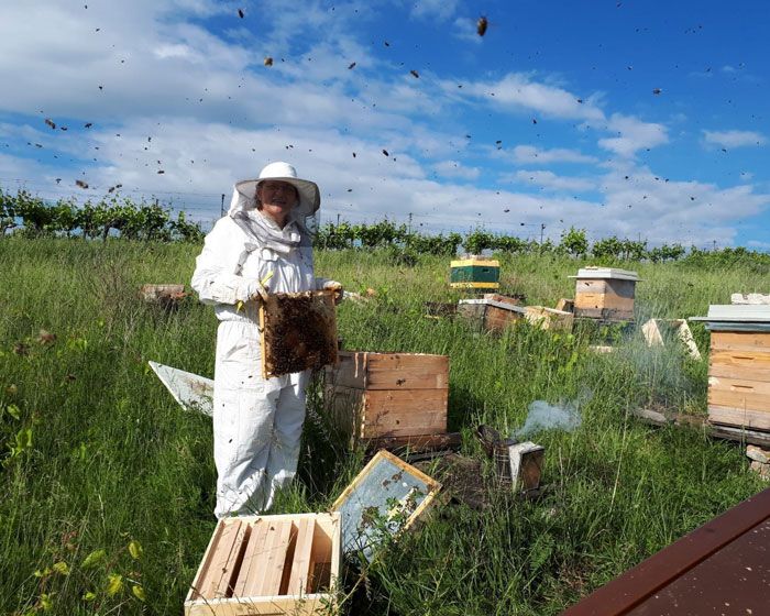 Imkerin Eva Hartner-Muzlai bei Ihren Honigbienen